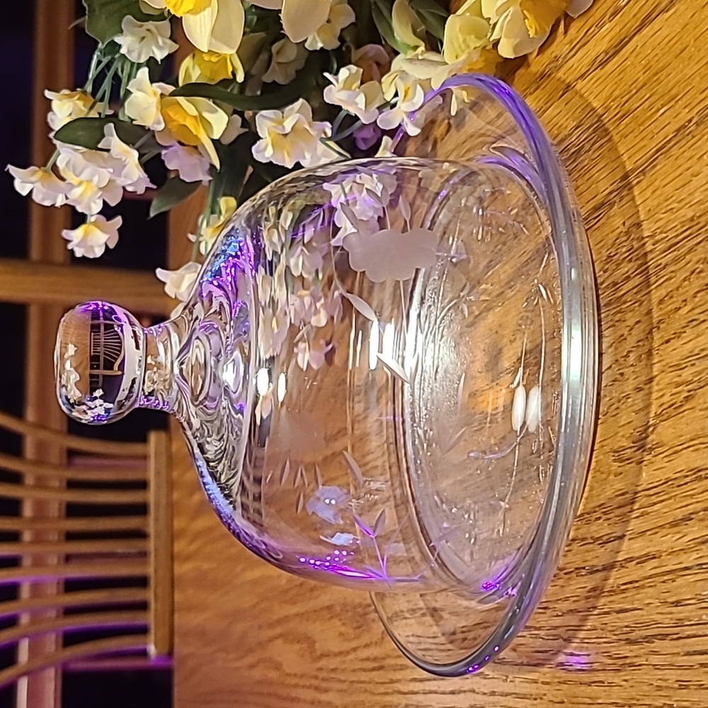 Princess House Covered Dome Butter Dish